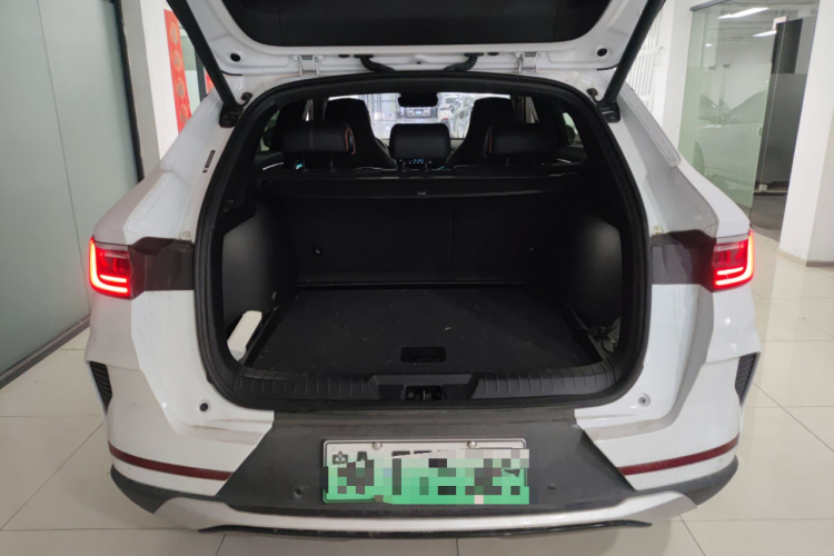 比亚迪 宋PLUS新能源 2022 汽车图片 #19