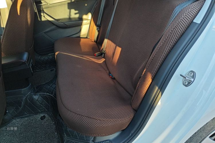 桑塔纳 2020 汽车图片 #19