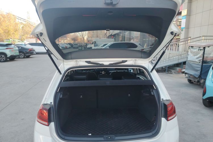 Volkswagen Golf Pure Electric 2020 car image #19