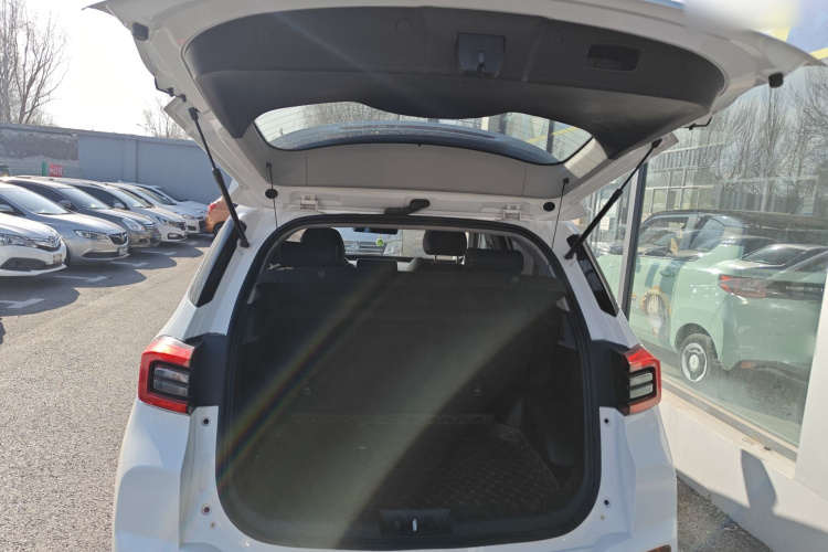 Tiggo 5x 2021 car image #19