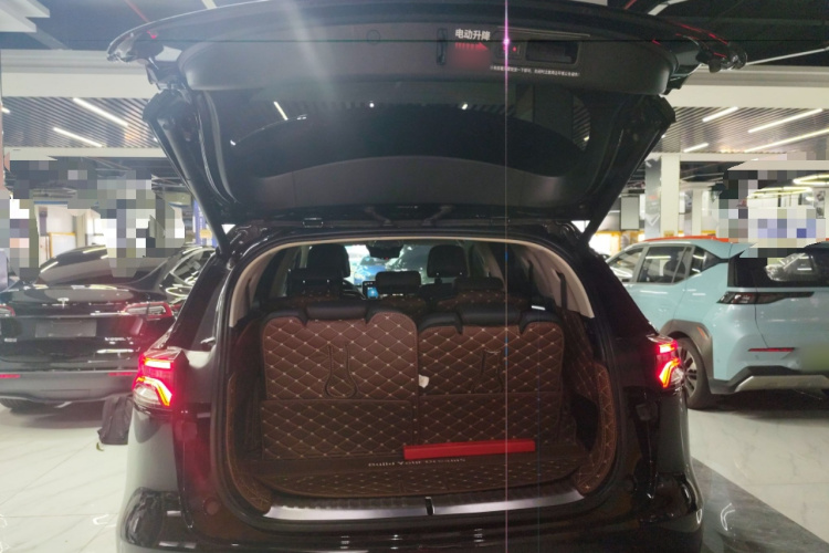 BYD Tang New Energy 2018 car image #19