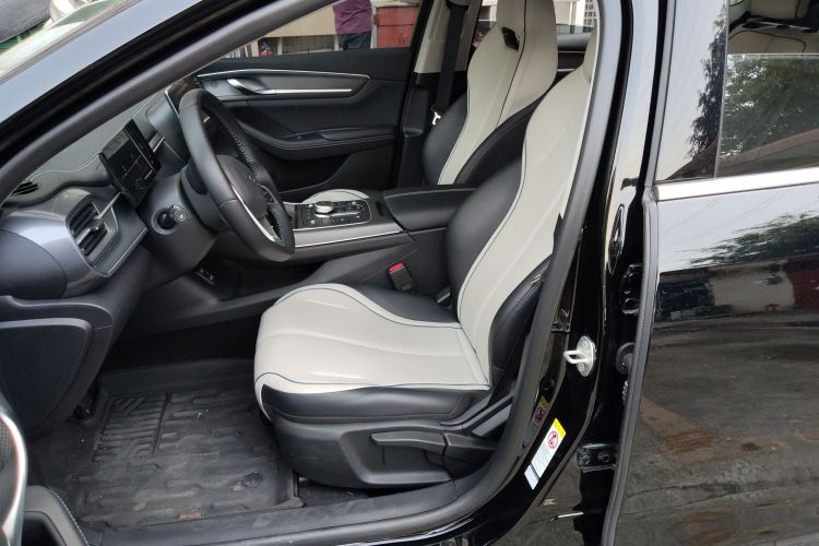 BYD Destroyer 05 2024 car image #19