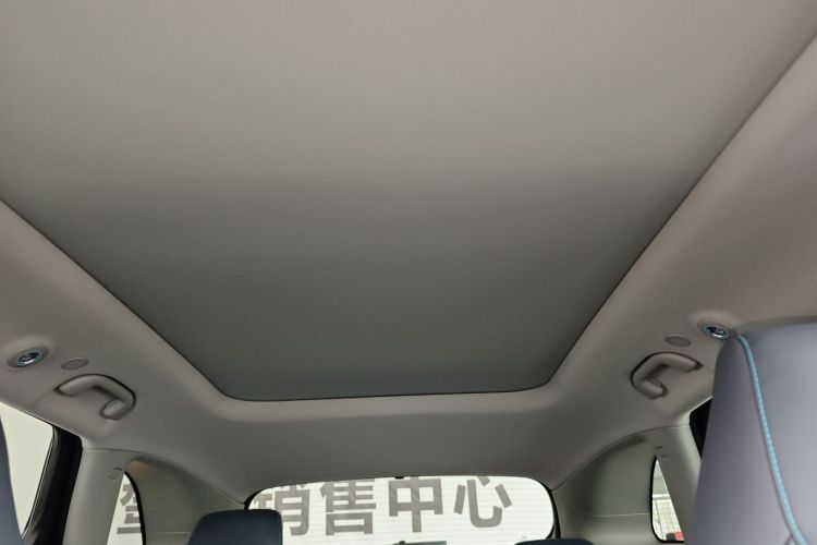 BYD Sea Lion 07 DM-i 2025 car image #19