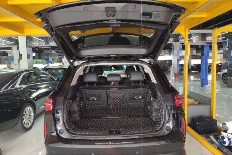 GAC Trumpchi GS4 PLUS 2021 car image #19