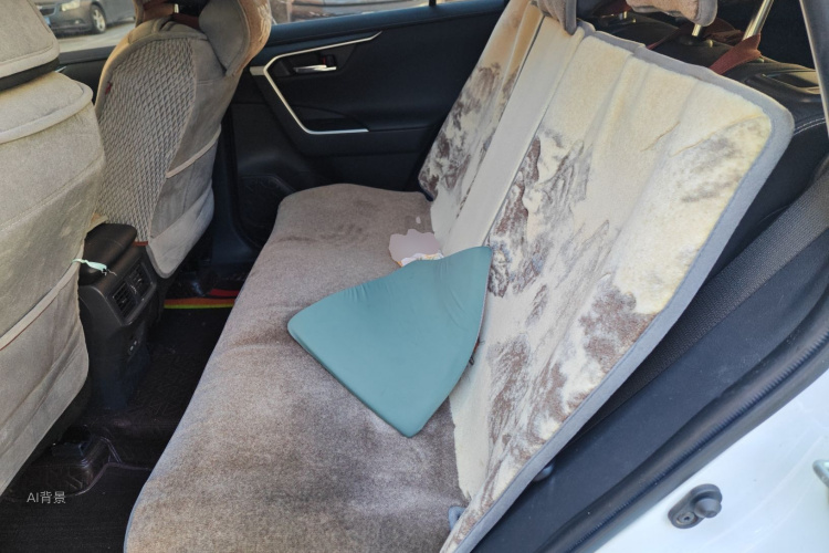 丰田 RAV4荣放 2021 汽车图片 #19