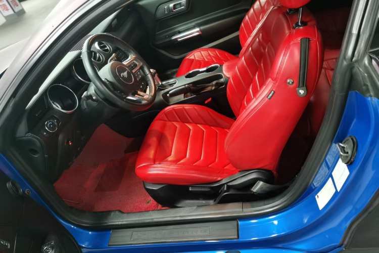Ford 2019 car image #19