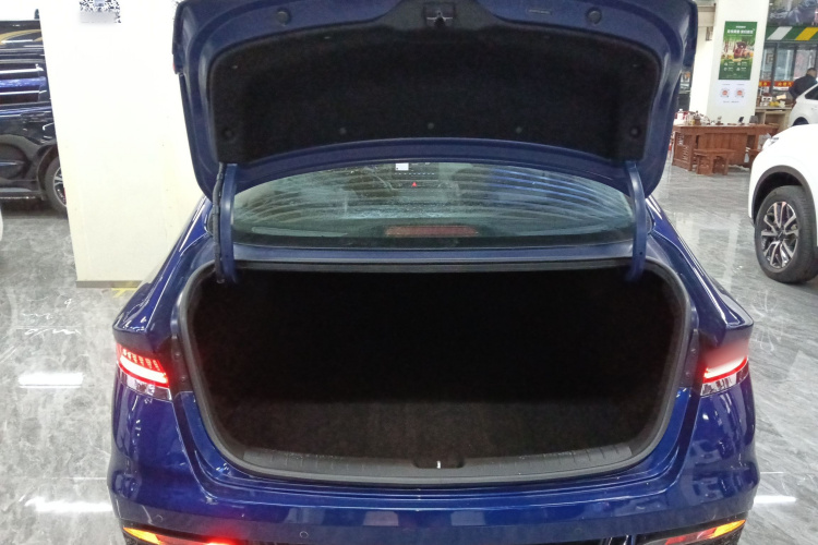 Hyundai Lafesta 2020 imagen de coche #19