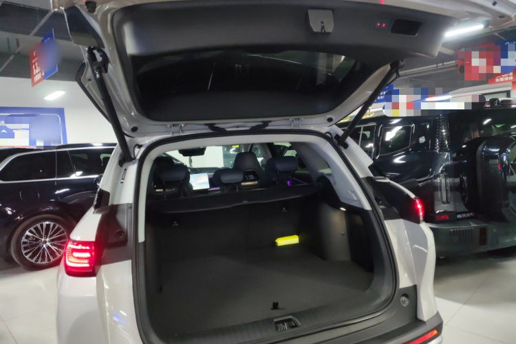 BYD Sea Lion 07 DM-i 2025 car image #19