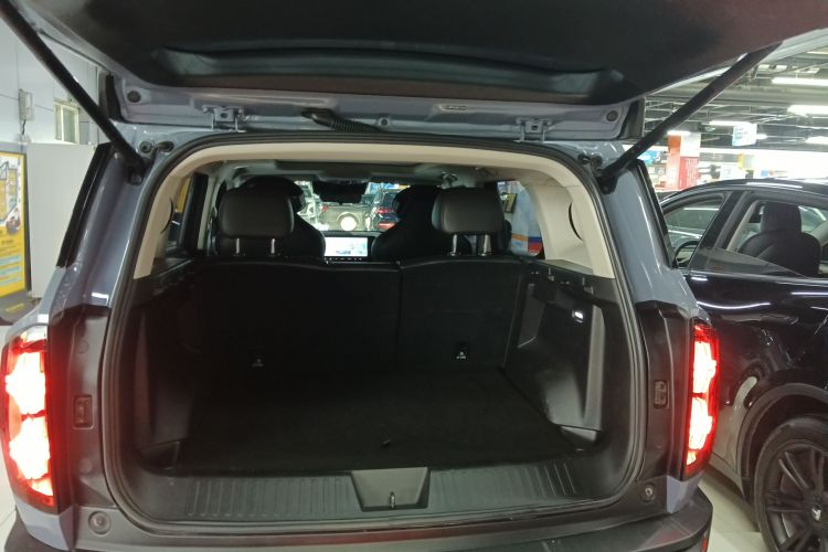 Haval Dargo 2022 car image #19