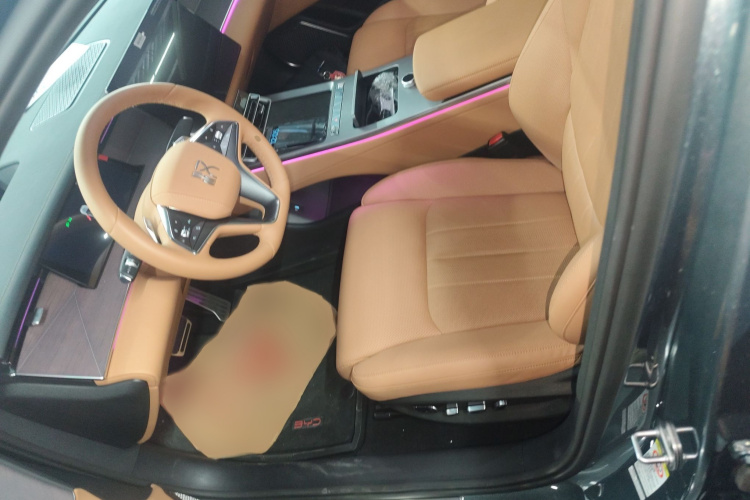 BYD HanL 2025 car image #19