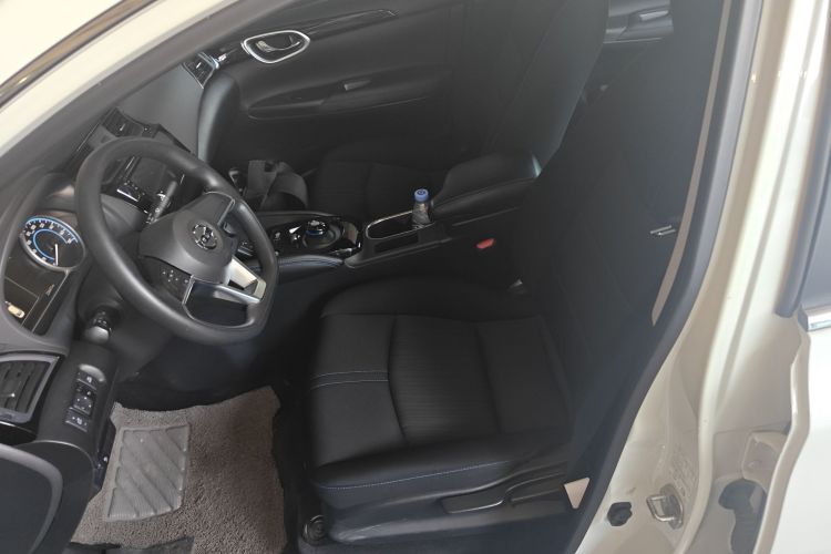 日产 轩逸·纯电 2019 汽车图片 #19