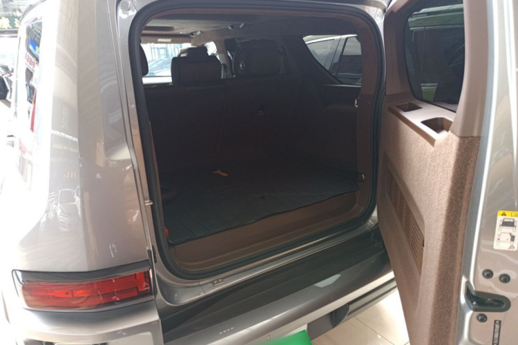 Tank 700 New Energy 2025 car image #19