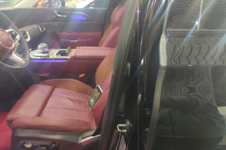 HongQi E-HS9 2021 immagine di auto #19