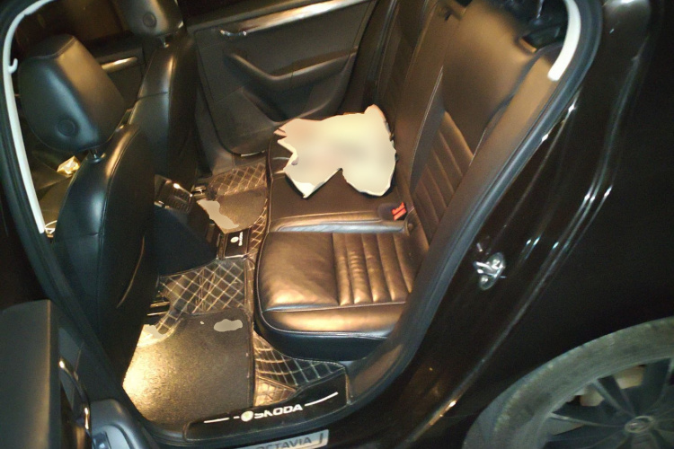Skoda Octavia 2016 car image #19