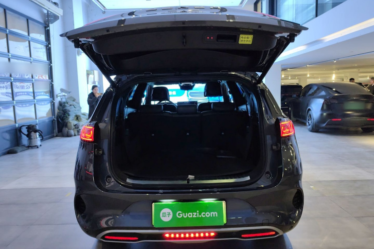 Denza X 2021 #19 Denza X 2021 car image #19