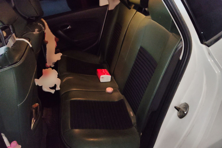 Polo 2016 car image #19