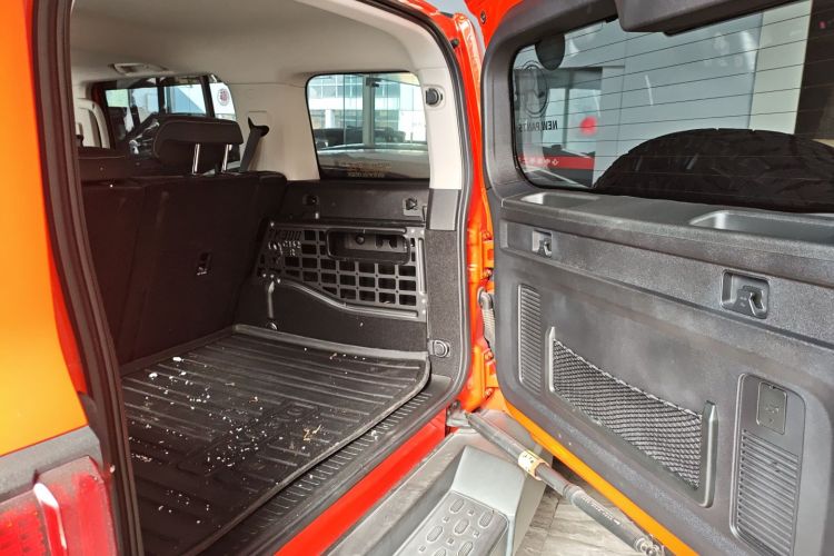 Tank 300 2022 car image #19