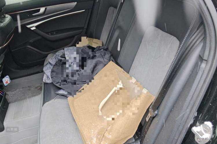 Audi A6L New Energy 2021 #19 Audi A6L New Energy 2021 car image #19