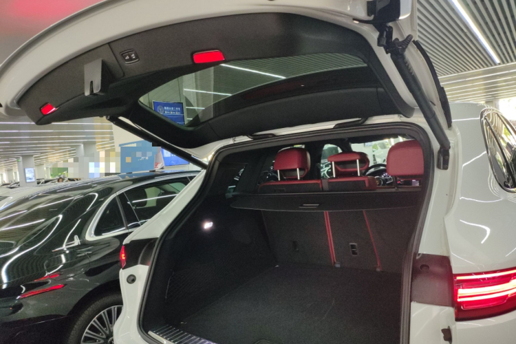 2021 car image #19