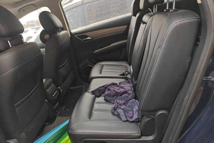 BYD Song MAX New Energy 2019 car image #19