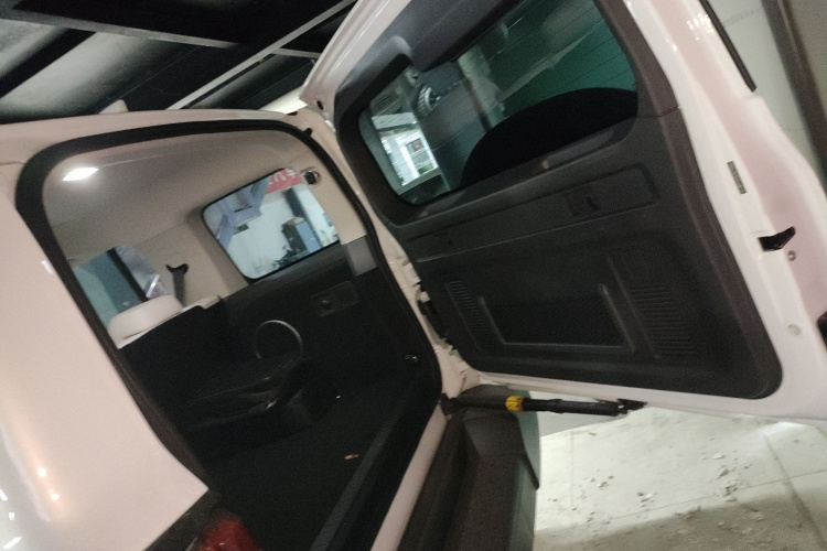 Tank 300 New Energy 2024 car image #19