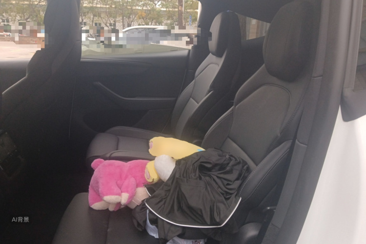 特斯拉 Model Y L 2025 汽车图片 #19