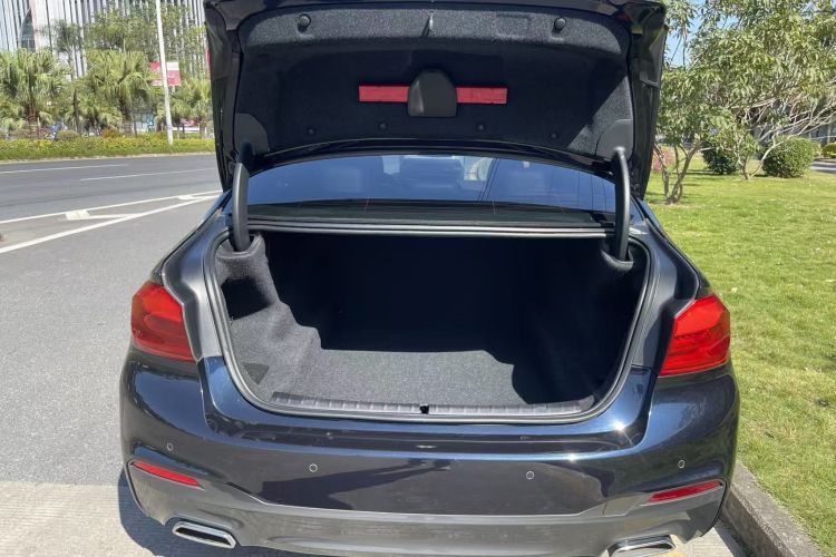 BMW 5 Series (Imported) 2020 #19 BMW 5 Series (Imported) 2020 car image #19