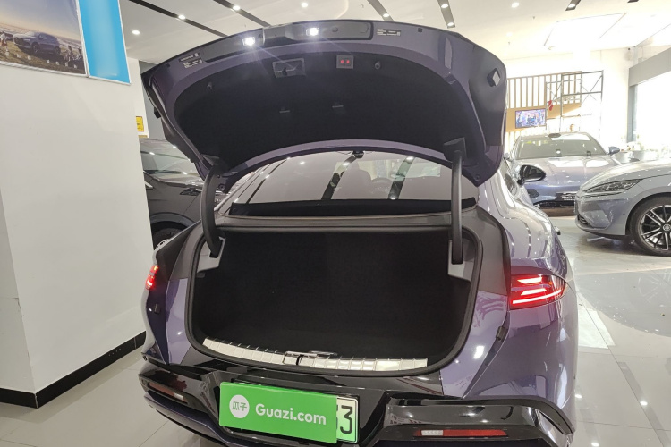 Denza Z9 2024 immagine di auto #19