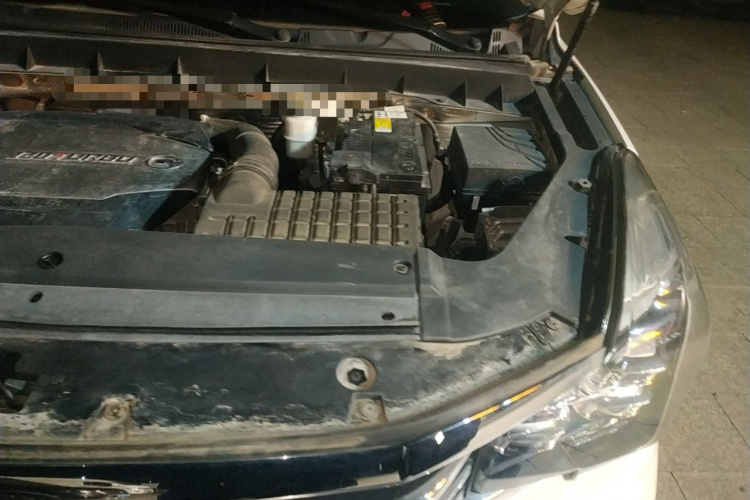 GAC Trumpchi GS7 2019 car image #19