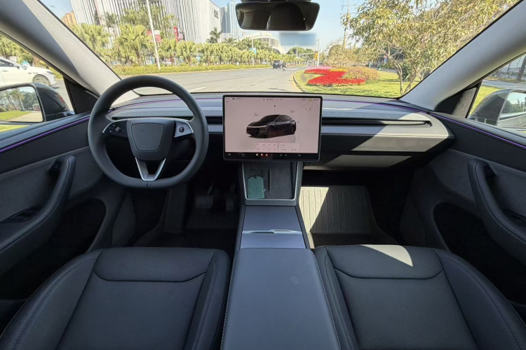 Tesla Model Y 2025 car image #19