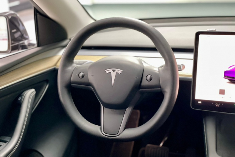 Tesla Model Y 2023 car image #19