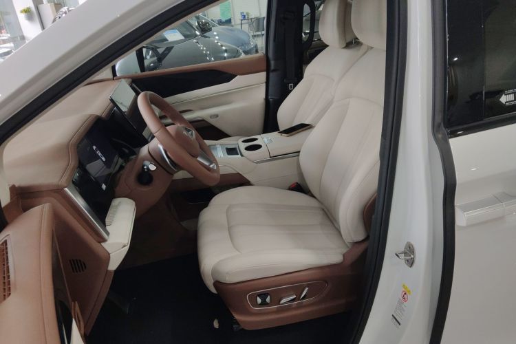 BYD Xia 2024 car image #19