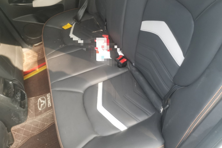 Kaiyi Xuandu 2021 car image #19