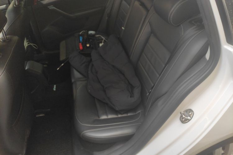 Volkswagen Gran Lavida 2017 immagine di auto #19