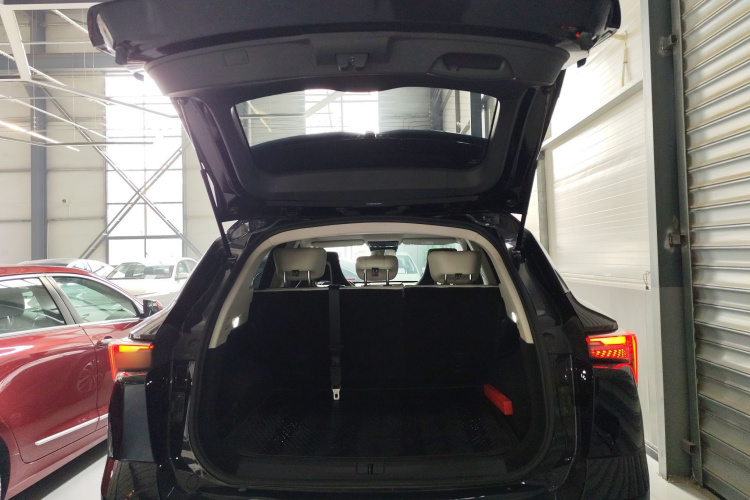 Dashing 2023 car image #19