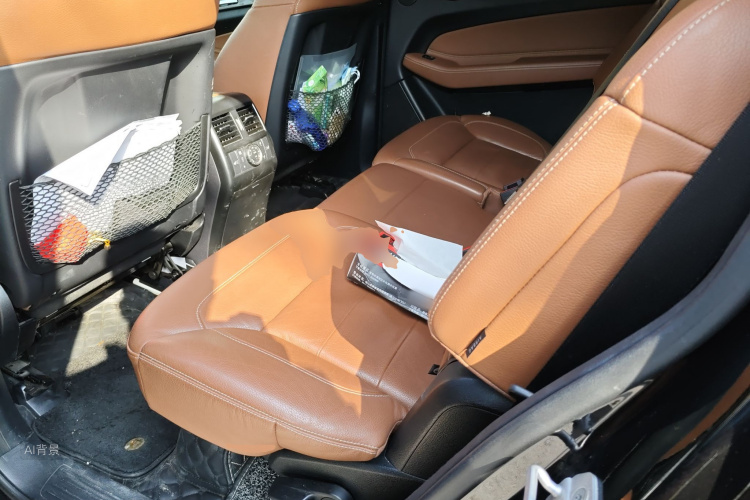 Mercedes-Benz GLS Class 2017 car image #19