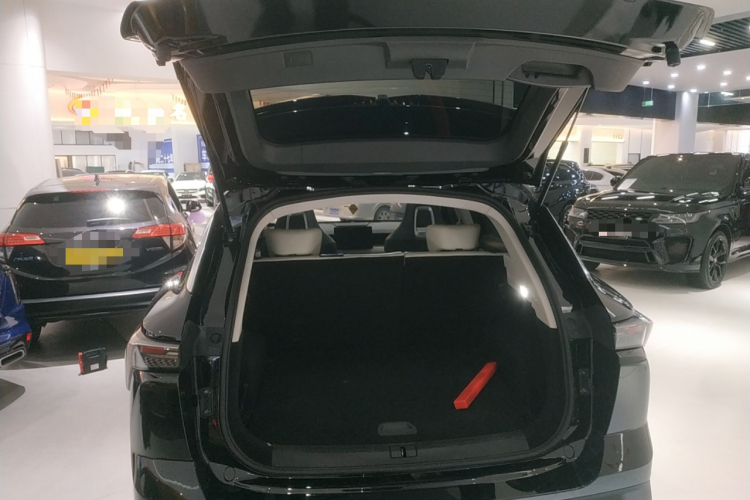 Dashing 2022 car image #19
