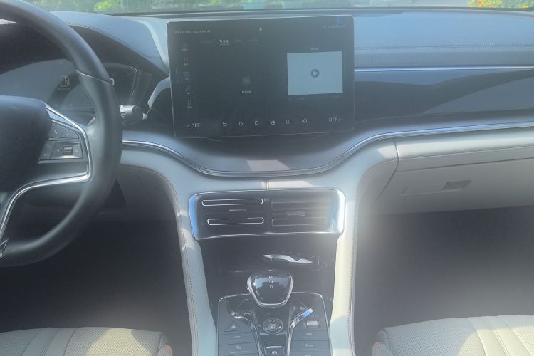 BYD Song Plus New Energy 2021 car image #19