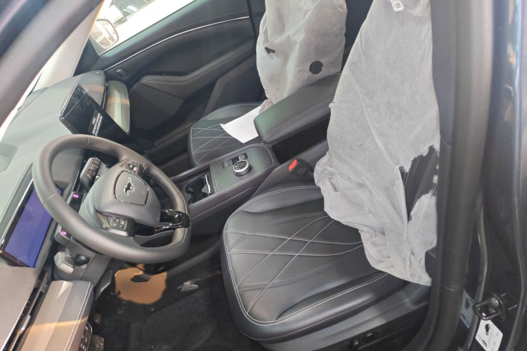 Ford Mustang Mach-E 2023 car image #19