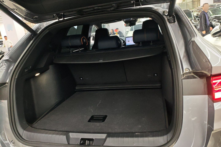 BYD Song Plus New Energy 2023 car image #19