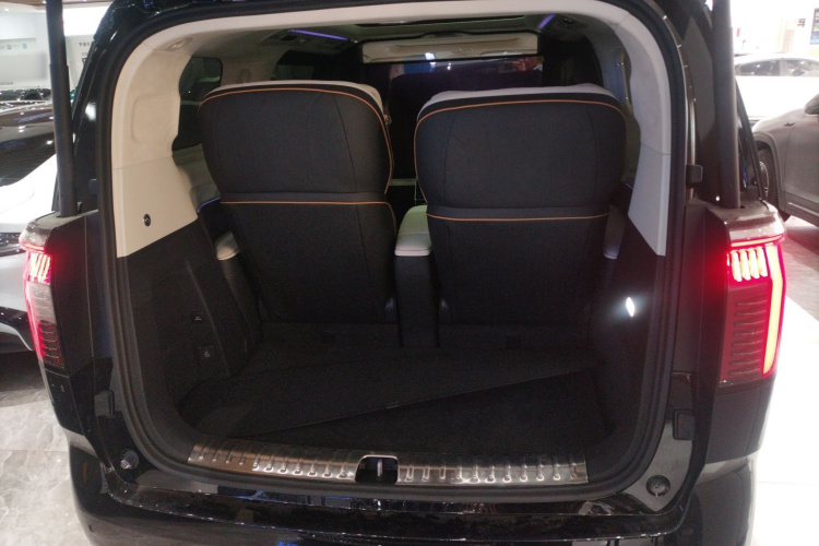 Zeekr 009 2025 car image #19