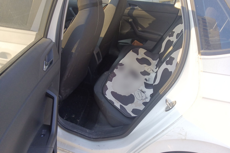 Polo 2021 car image #19