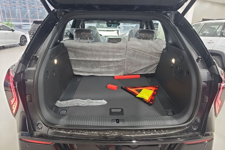 HongQi TianGong 08 2025 car image #19