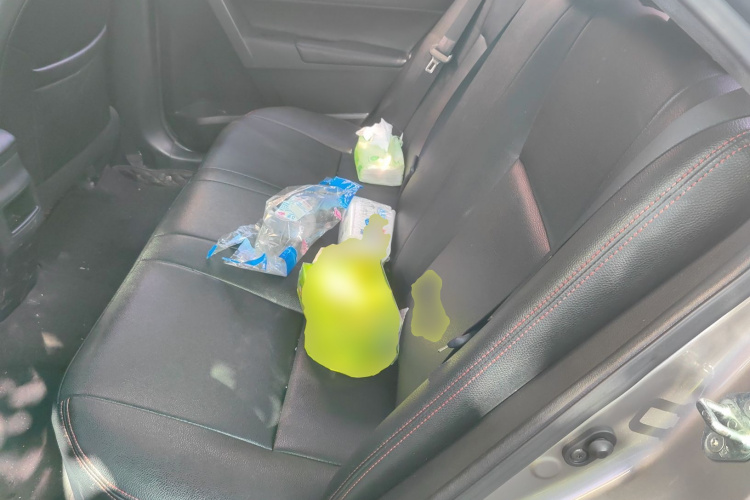 Toyota Corolla 2018 car image #19