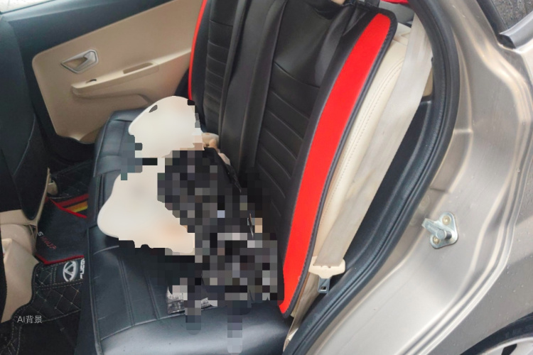 Chery Fulwin 2 2016 #19 Chery Fulwin 2 2016 car image #19