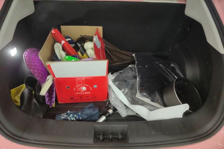 Neta V 2022 #19 Neta V 2022 изображение автомобиля #19