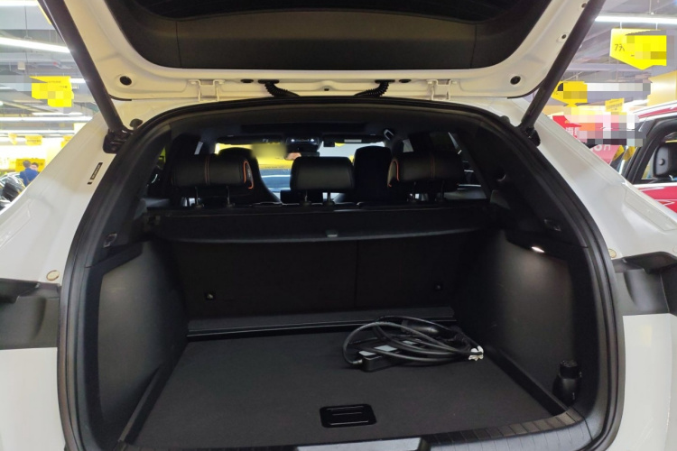 BYD Song Plus New Energy 2022 car image #19