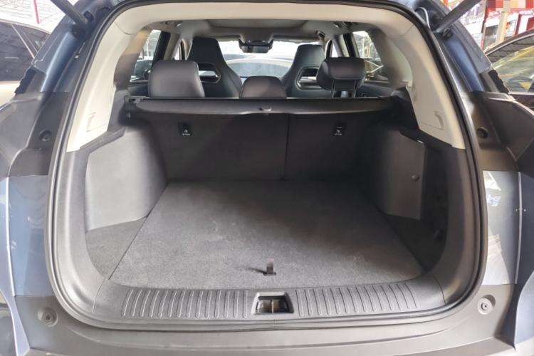 BYD Sea Lion 07 DM-i 2025 car image #19