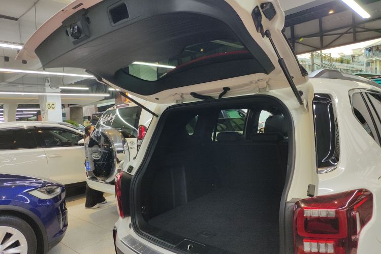 GAC Trumpchi GS8 2021 #19 GAC Trumpchi GS8 2021 car image #19