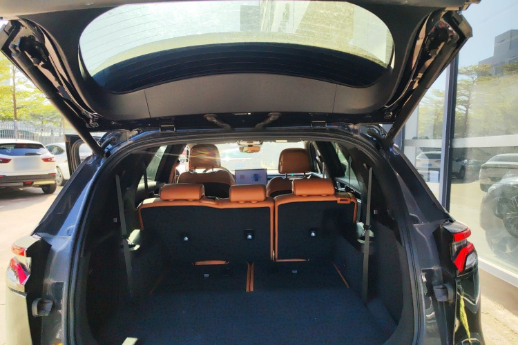 BYD Tang New Energy 2023 car image #19